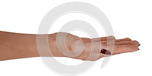 Open hand showing anything, beautiful female's skin, red manicure. on white background