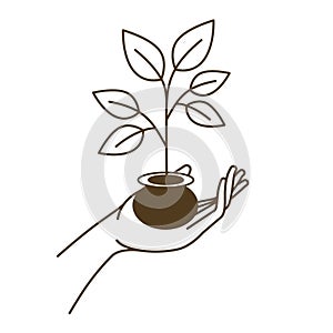 Open hand with small tree avatar character