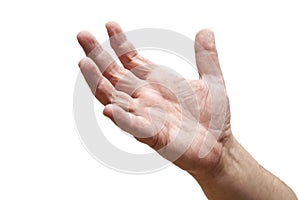 Open hand waiting to receive object from above. White background