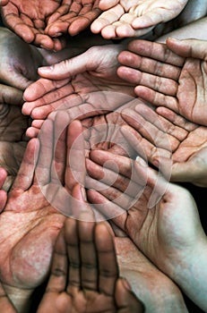 Open hands, diversity group and together with community, solidarity and support. Trust, faith and charity hands gesture