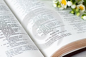 Open holy bible book of Psalms 113 verses with a spring flower, close-up