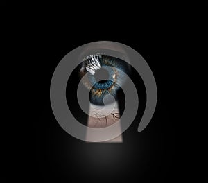 Open human eye in keyhole.