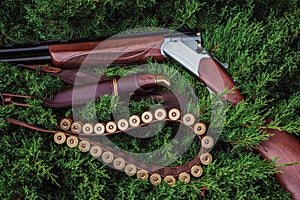An open hunting rifle with cartridges and a knife in a leather case, lying on the branches of green fir