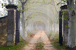 Open iron gate on foggy path