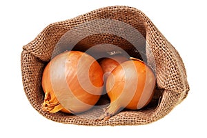 Open jute sack with ripe onions.