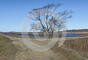 the open landscape of parker river national wild life refuge