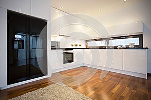 Open luxury kitchen