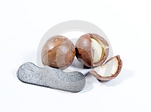 Open Macadamia nut by tool on background