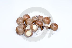 Open Macadamia nut by tool on background