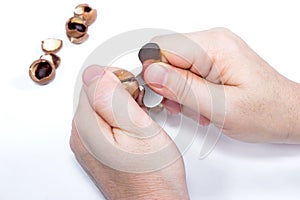 Open Macadamia nut by tool on background