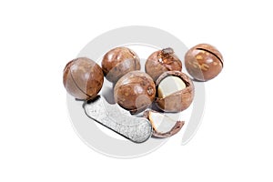 Open Macadamia nut by tool on background