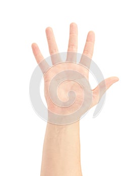 Open man hand or number five