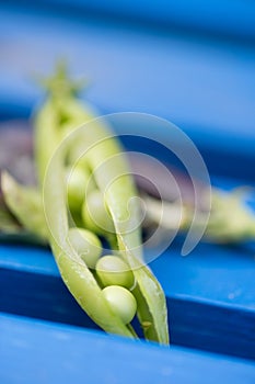 Open marrowfat and green pea in blue