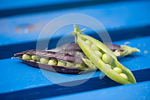 Open marrowfat and green pea in blue