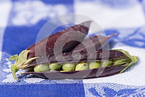 Open marrowfat pea in blue