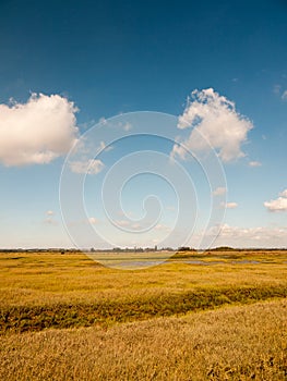 open marshland landscape scene with blue skies, clouds, and grass