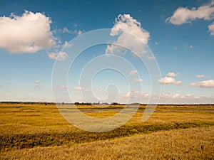 open marshland landscape scene with blue skies, clouds, and grass