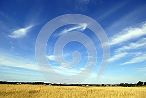 Öffnen Wiese blauer himmel 