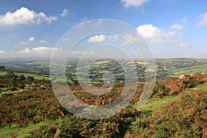 Open moorland from Bonehill Down