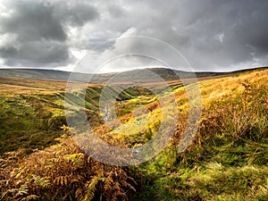 Open moorland with a stream looking towards Little Whernside