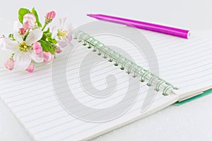 Open notebook with apple tree flowers