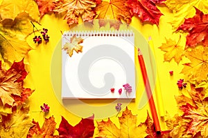 Open notebook with blank white pages for text, two colored pencils on bright autumn leaves, top view