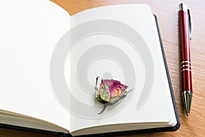 Open Notebook With Dry Rose On Wooden Table With Copy Space