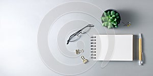 Open notebook, glasses,  bamboo pen and succulent plant on grey desk.