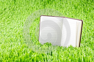 Open notebook on green grass, Business and Education concept template