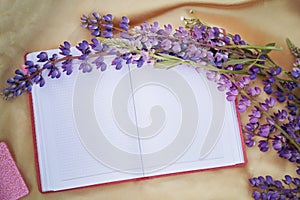 Open notebook mock up with purple lupins flowers golden background. Summer picnic. Place for text. Closeness to nature