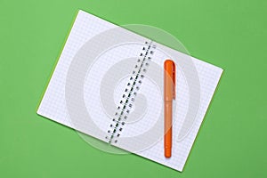 Open notebook and pen on a green background.