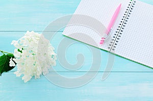 Open notebook with pink pen, coffeecup and hydrangea photo