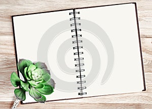 Open notebook put on the wooden plate with cactus