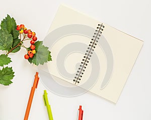 An open notebook with white sheets of paper, hawthorn twigs and colored pens on a white background