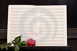 Open notes paper with red rose