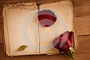 Open old book with blank pages for text and dry rose on wooden table