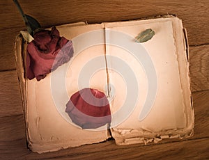 Open old book with blank pages for text and dry rose on wooden table