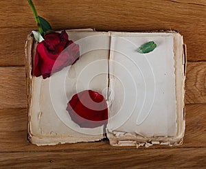 Open old book with blank pages for text and dry rose on wooden table