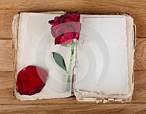 Open old book with blank pages for text and dry rose on wooden table