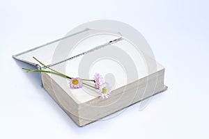 Open old book. Bouquet of flowers from daisies. View from above. on white background. Place for text.