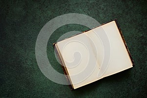 Open old book on green textured background with space for text