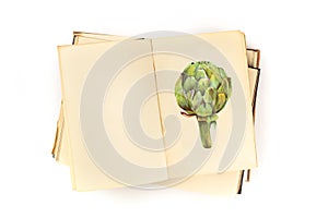 An open old book with an illustration of an artichoke and copy space