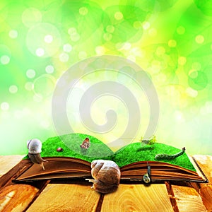 Open old book magic animals