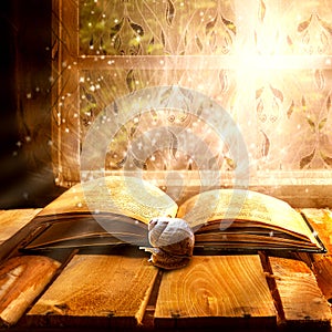 Open old book magic snail