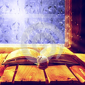 Open old book magic snail