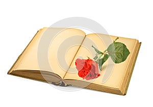 Open old book with rose