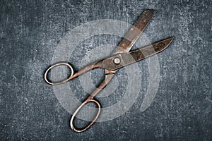 Open old tailor shears on gray background