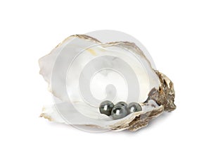 Open oyster shell with black pearls on white background