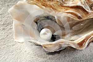 Open oyster with white pearl on sand, closeup