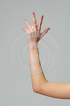 Open palm of a female hand o gray background